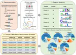 Systematic prediction of degrons and E3 ubiquitin ligase binding via deep learning