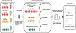 Serum Antigenome Profiling Reveals Diagnostic Models for Rheumatoid Arthritis