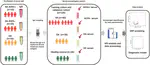 Serum Antigenome Profiling Reveals Diagnostic Models for Rheumatoid Arthritis