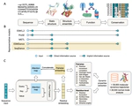 Learning Biophysical Dynamics with Protein Language Models